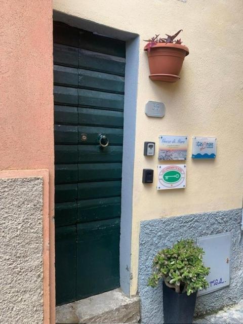 Casamare Apartment Riomaggiore Exterior photo